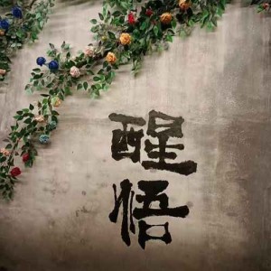 苓资料,苓最新歌曲,苓MV视频,苓音乐专辑,苓好听的歌