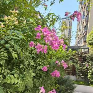 邱建飞资料,邱建飞最新歌曲,邱建飞MV视频,邱建飞音乐专辑,邱建飞好听的歌